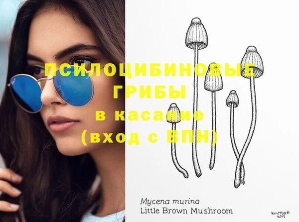 амфетамин Белокуриха